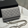Сумка Chanel 19х12х4 см (17913)
