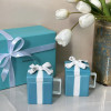 Набор банок для специй Tiffany&Co 2шт (14716)