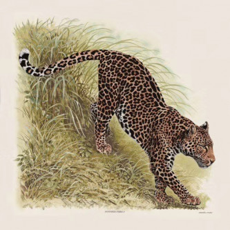 Плед Hermes Panthera Pardus (10947)