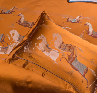 Постельное белье Hermes (11069)