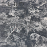 Платок Christian Dior шелк+шифон 110*190см (14878)