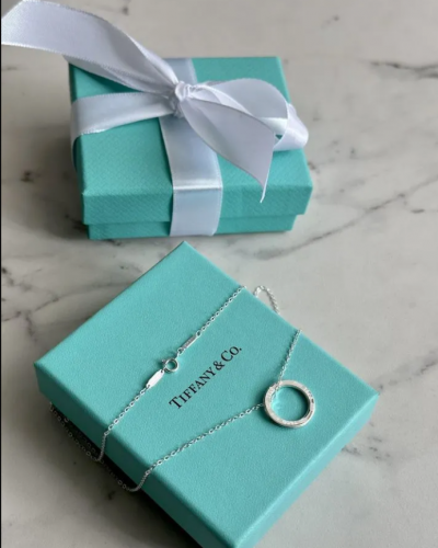 Колье Tiffany&Co Circle (14593)